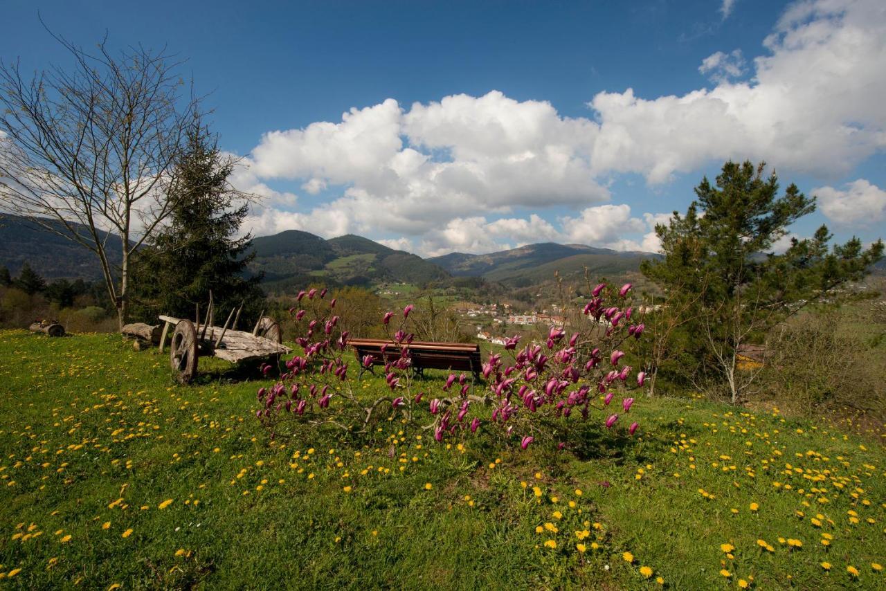 Apartamentos Turisticos Bizkar Bare Sopuerta ภายนอก รูปภาพ